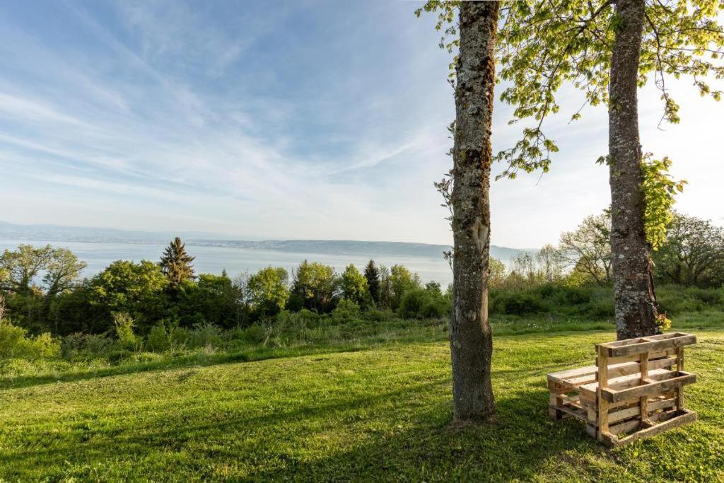 Le Garden - Ski - Vue Lac - Piscine - Parking - Evian - Thonon - Lugrin Exterior foto